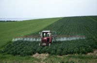 Des pesticides classés potentiellement cancérogènes par l'OMS