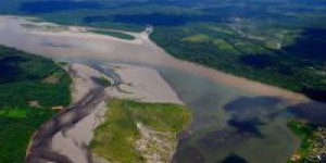 La surprenante découverte du récif géant de l'Amazone