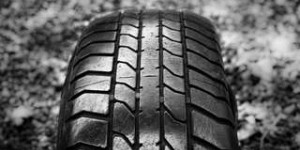 Bientôt des pneus à base d'isoprène biologique ?