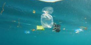 Ocean Cleanup, le projet de Boyan Slat pour nettoyer l'océan, commencera en 2018