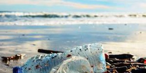 La Méditerranée déborde de plastique : 600.000 tonnes rejetées par an !