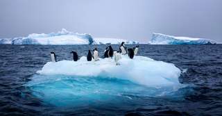 Antarctique : on sait pourquoi les plateformes de glace fondent rapidement