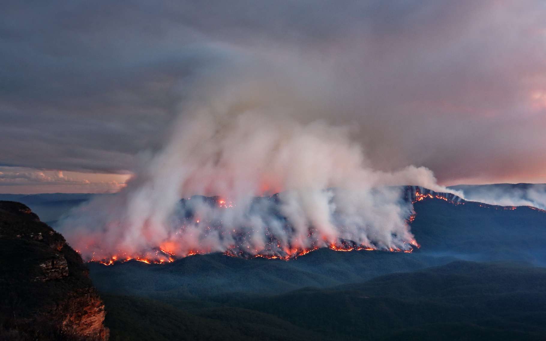 Incendies en Australie : quelles conséquences sur la santé et les écosystèmes des mégafeux ?