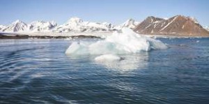 Arctique : la vague de chaleur et la fonte précoce des glaces inquiètent les scientifiques