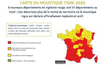 Le moustique-tigre est présent dans plus de la moitié de la France