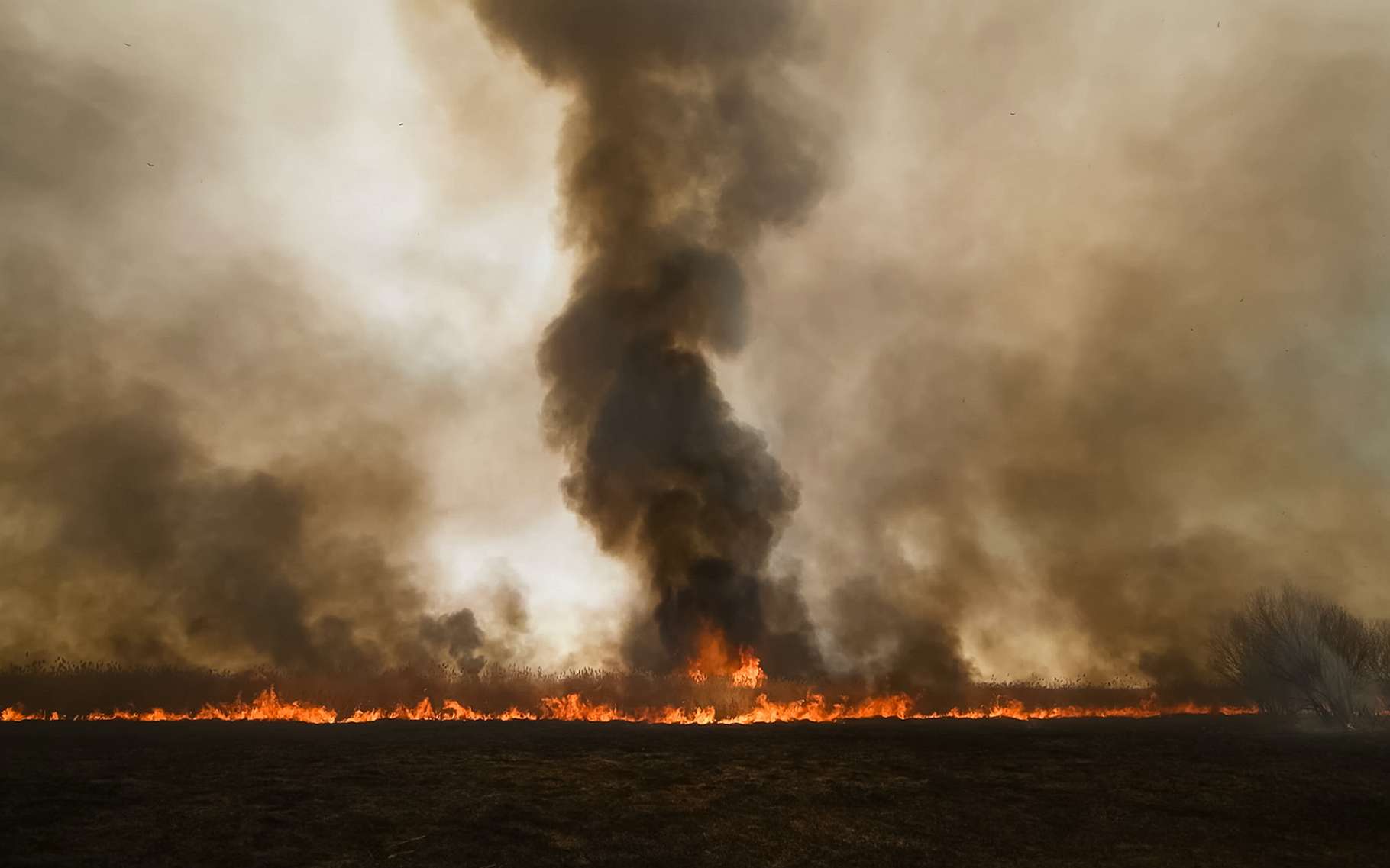La Sibérie, qui a connu son hiver le plus doux, est en proie à de gigantesques incendies