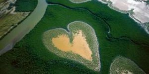 Yann Arthus-Bertrand nous invite à regarder la Terre vue du cœur