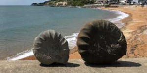 Une ammonite géante de 100 kg découverte en Angleterre