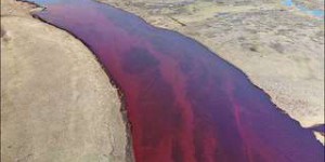 Sibérie : une gigantesque marée noire provoquée par une fuite de pétrole