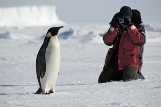 L'impact humain sur l'Antarctique... revu à la hausse