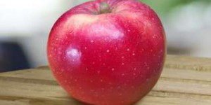 Cette pomme spéciale « réchauffement climatique » pourra résister aux canicules