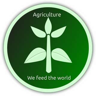 Relever les défis du développement durable avec les nouveaux masters de l'agroalimentaire