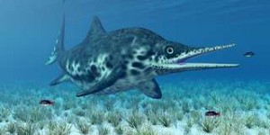 Une proie de 4 mètres retrouvée dans l'estomac d'un ichtyosaure fossile