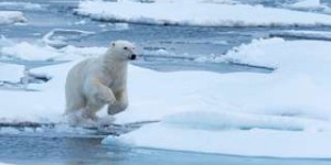Calottes polaires et climat : « nous avons sous-estimé l’ampleur de notre manque de connaissance »