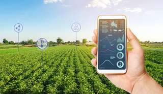 Faire converger Big Data, automatisation et aide à la décision pour l’agriculture durable