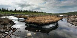 Faut-il craindre la libération de virus pathogènes avec la fonte du permafrost ? Décryptage