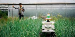 Naïo Technologies s’associe à Varta pour des robots agricoles plus autonomes