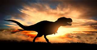 Les T-Rex avaient de brusques poussées de croissance, leurs cousins non