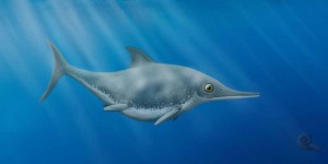 Cette créature du Jurassique supérieur était un curieux mélange de dauphin et de requin