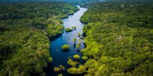 La forêt amazonienne a perdu un territoire de la taille de l'Espagne en 18 ans !