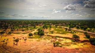 Afrique : vers une renaissance de la Grande Muraille Verte ?