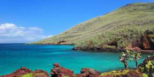 Le grand secret de la biodiversité des îles Galápagos