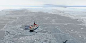 Un monde grouillant de vie découvert après la séparation d'un iceberg géant en Antarctique