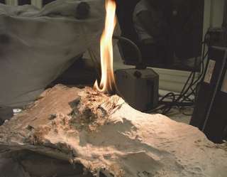 Brûler un fossile pour mieux l'étudier : des paléontologues l'ont fait !