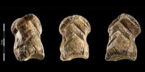 Un os gravé témoigne du comportement symbolique de Néandertal