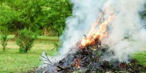 Pourquoi il ne faut pas brûler vos déchets de jardin
