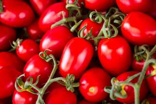 Voici la première tomate génétiquement modifiée par CRISPR