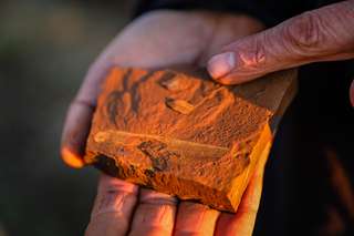 Découverte de fossiles exceptionnels en Australie qui éclairent sur les écosystèmes du passé