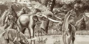 Un méga-herbivore de 35.000 ans plus proche des éléphants ou des mammouths ?