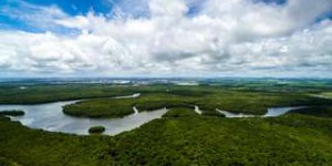Des scientifiques ont découvert que l'immense bassin amazonien est sensible aux changements climatiques rapides