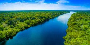 Amazonie : la plus grande forêt du monde est au bord de la rupture