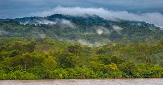 Pourquoi il va pleuvoir de moins en moins sur la forêt amazonienne