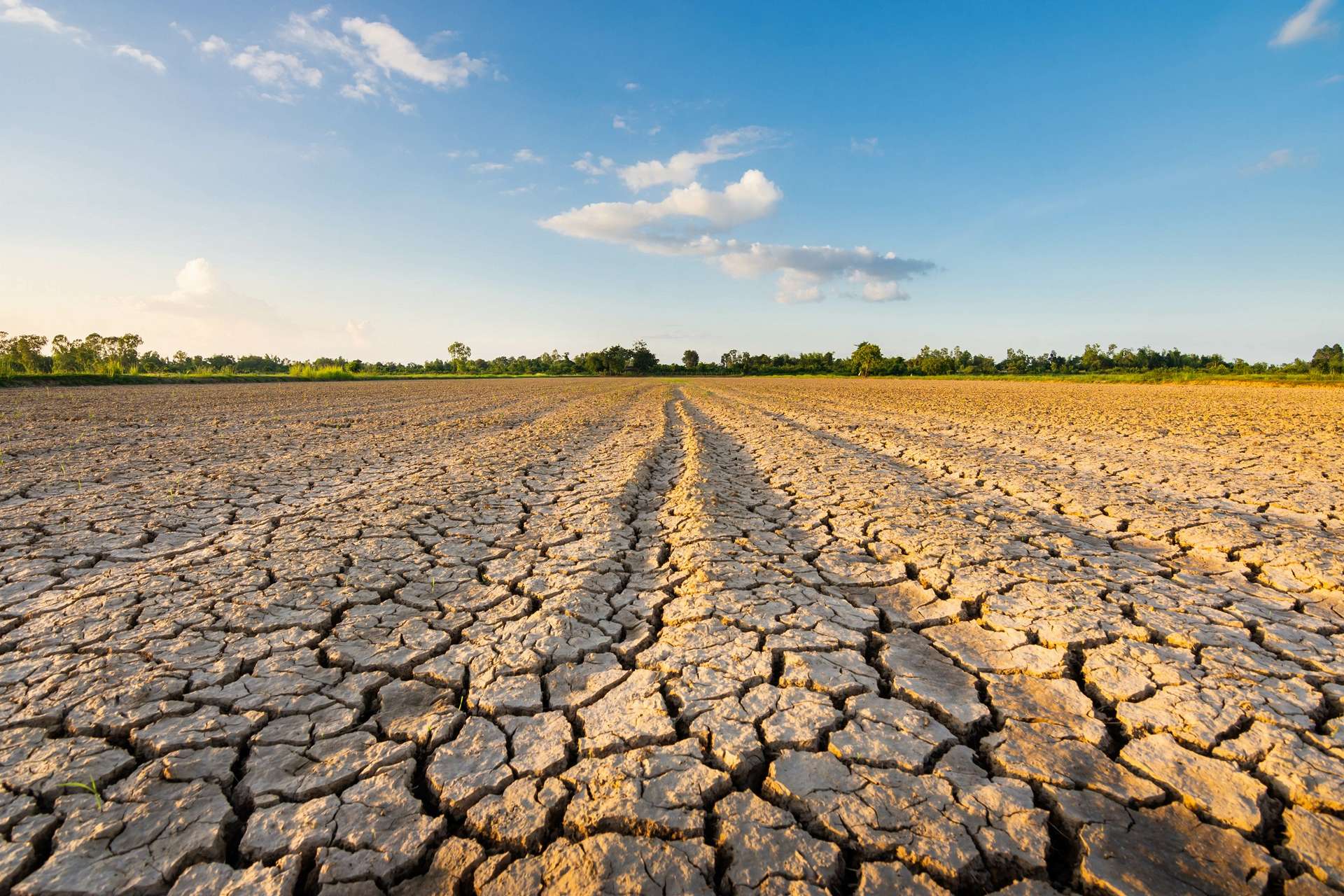 Les sécheresses de 2022 sont liées au réchauffement climatique, atteste une étude