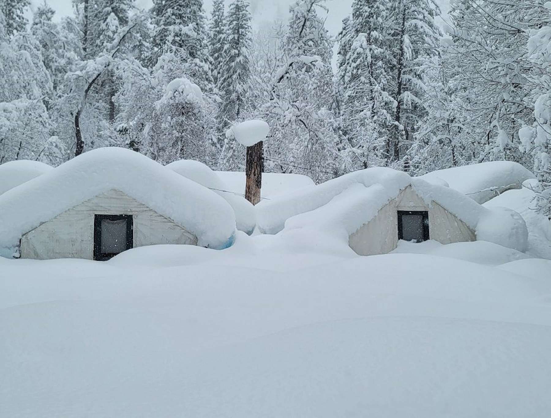 Des images incroyables de la Californie ensevelie sous la neige