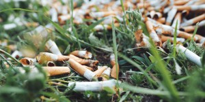 Les mégots de cigarettes libèrent des toxines mortelles dans la nature