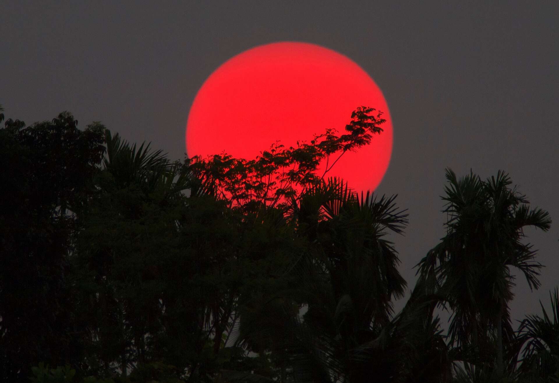 Phénomène météo extraordinaire : le soleil rouge, un danger en prévision ?