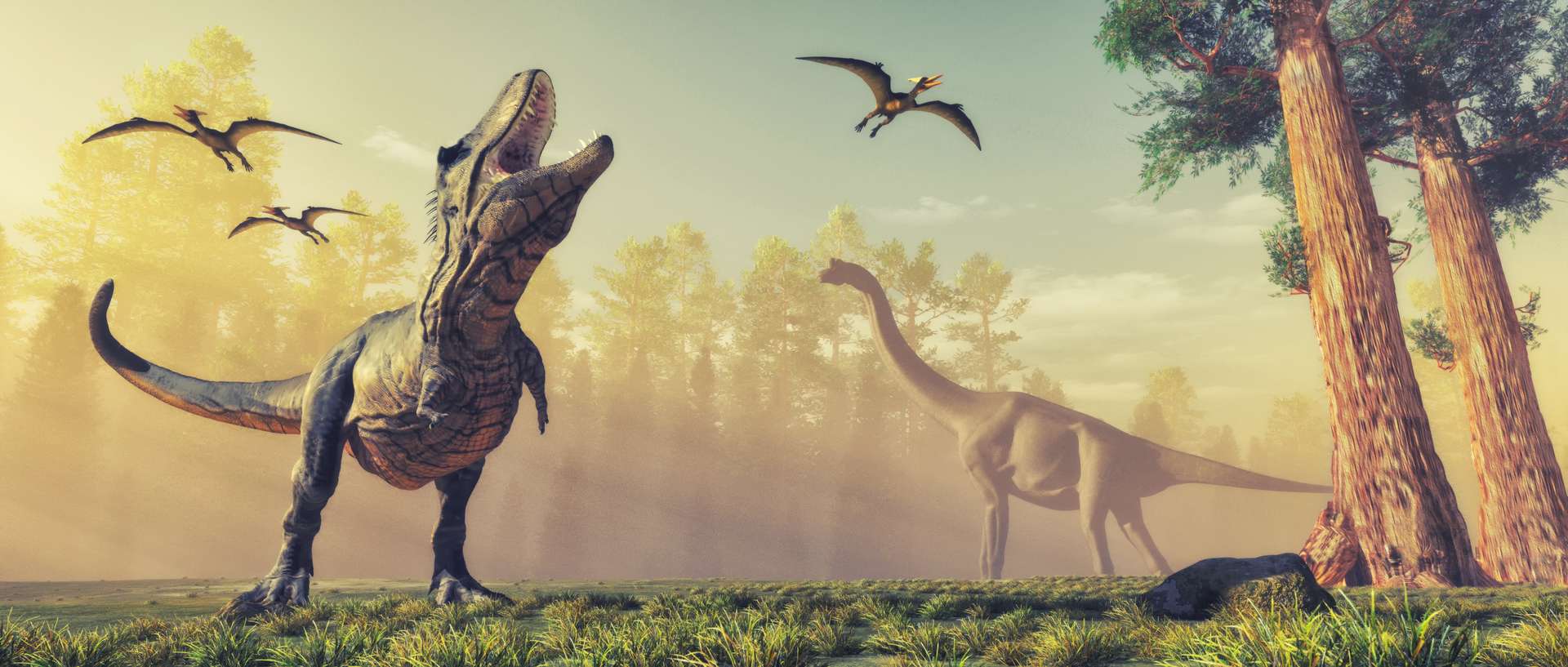 Les tyrannosaures qui ont vécu sur Terre étaient moins nombreux qu’on ne le pensait