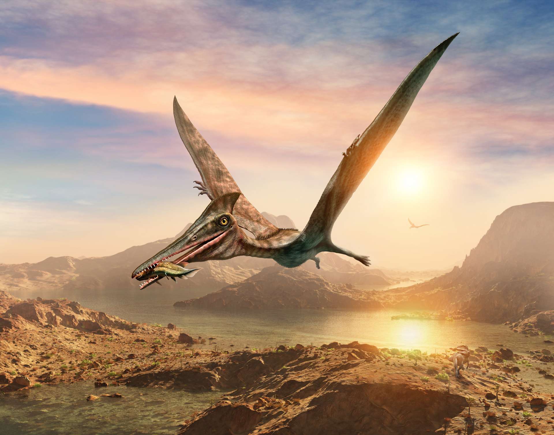 Ces fossiles montrent que les ptérosaures pouvaient survivre au climat extrême du cercle polaire austral