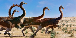 Les os de ces dinosaures diffèrent entre mâle et femelle