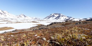 Le Groenland sans glace il y a 400 000 ans : un avertissement pour notre futur