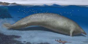 C’était peut-être le plus gros animal qui ait jamais vécu sur Terre !