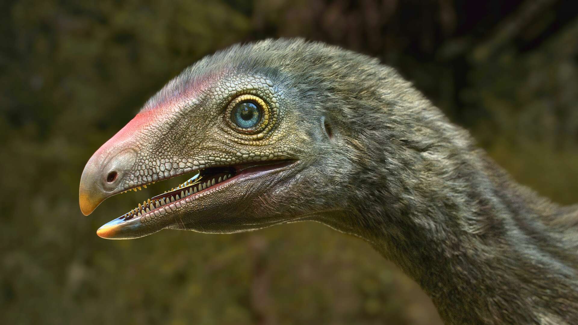 Ce parent des dinosaures et des ptérosaures avait un bec crochu et des griffes tranchantes