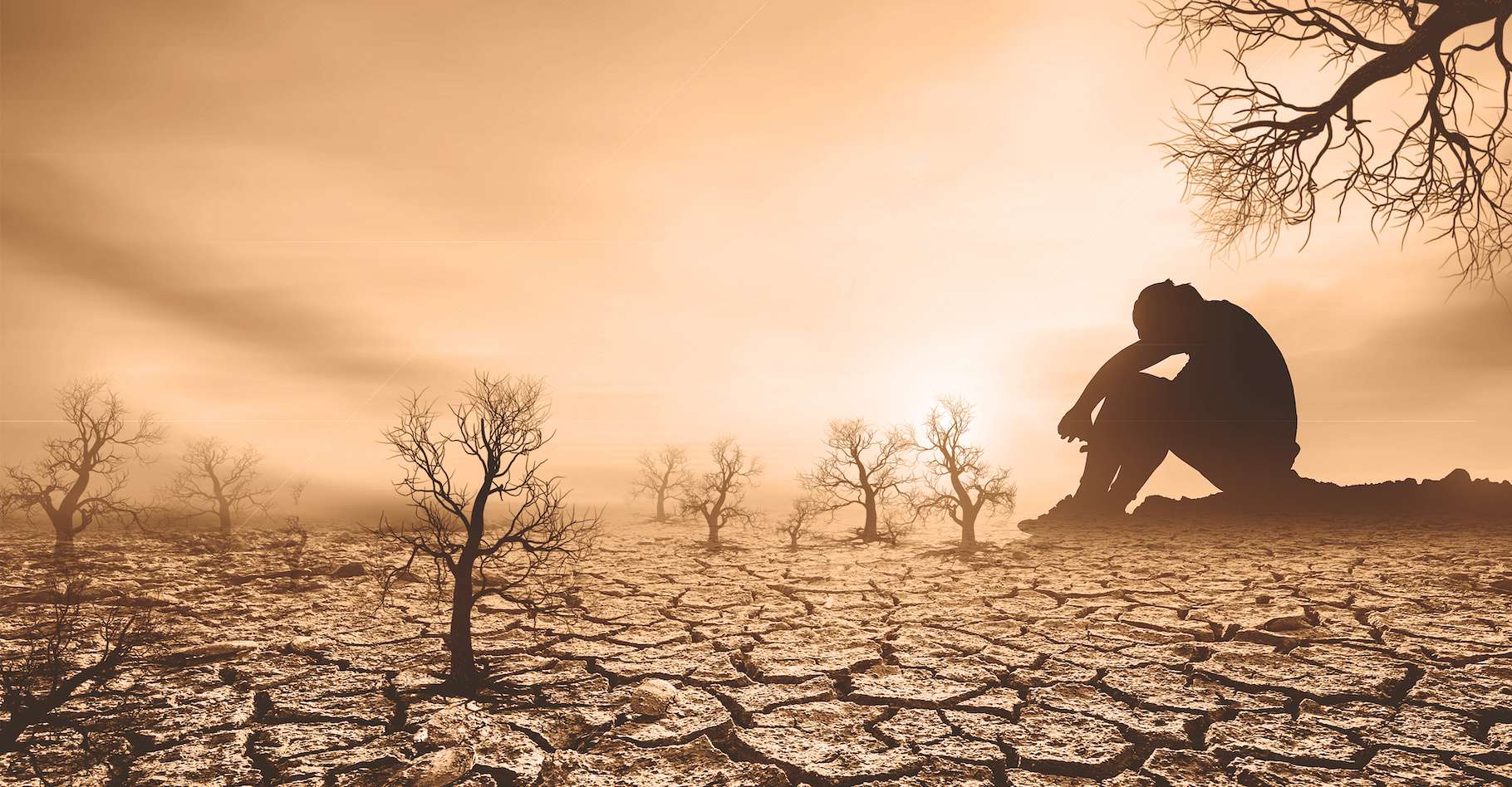 Quand le cycle de l’eau déraille : près de la moitié du monde a subi une sécheresse en 2022 !
