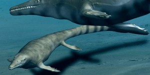 Cette espèce de reptile préhistorique jusque-là inconnue terrorisait les océans !