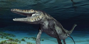 Ce fossile appartient à une espèce inconnue de terrifiants reptiles aquatiques !
