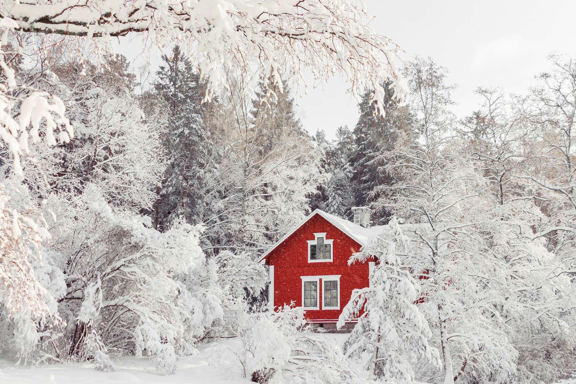 La Suède endure ses températures les plus basses depuis 25 ans : -43 °C !